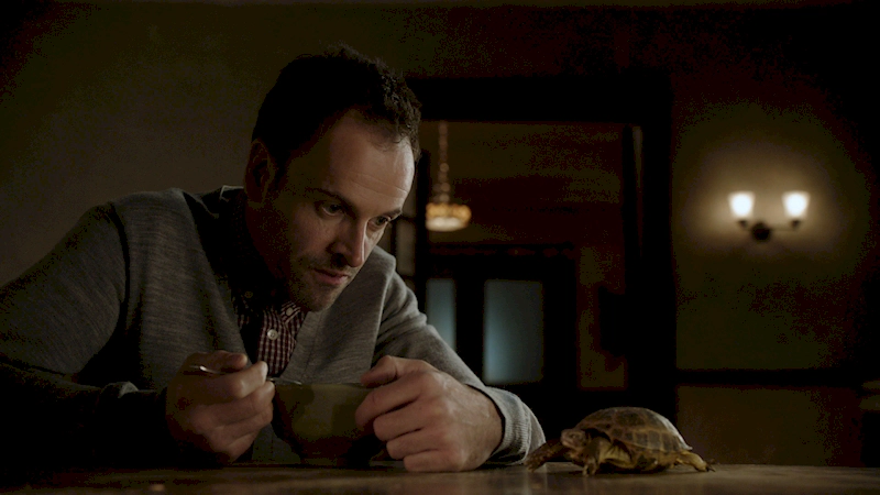 Черепаха Клайд 1 сезон