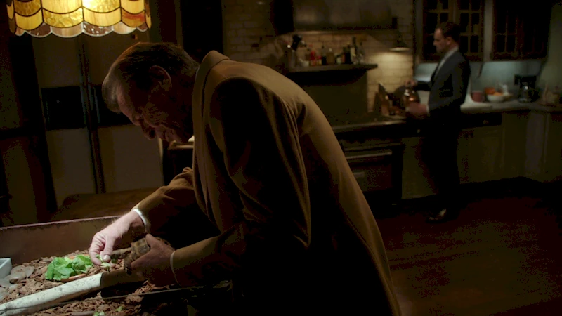 Шерлок со своим отцом, который кормит черепашку